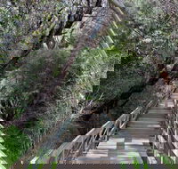 Mulwaree River Walkway - Hotel WA