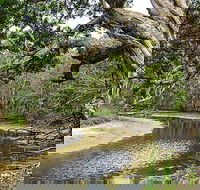 Saltwater National Park - Hotel WA