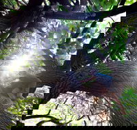 Scarborough Beach Park - Hotel WA