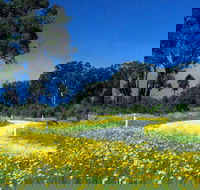 Shearer's Way - Hotel WA