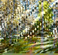 Square Head Track 1 - Hotel WA