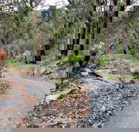 Stepping Stone Crossing to Cascades Trail - Hotel WA