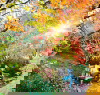 The Blue Mountains Botanic Garden Mount Tomah - Hotel WA