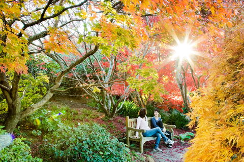 The Blue Mountains Botanic Garden, Mount Tomah - Hotel WA 0