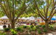 The Original Eumundi Markets - thumb 0