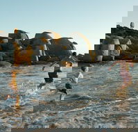 Venus Bay - Hotel WA