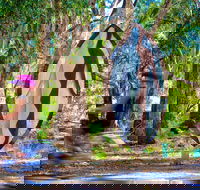 Wagirra Trail and Yindyamarra Sculpture Walk - Hotel WA