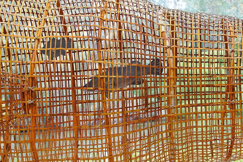 Wagirra Trail And Yindyamarra Sculpture Walk - Hotel WA 2