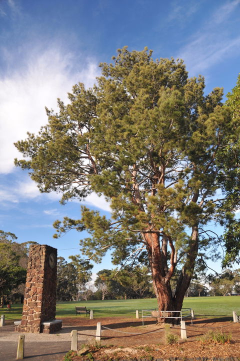 Wattle Park - Hotel WA 2