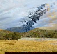 Weddin Mountains National Park - Hotel WA