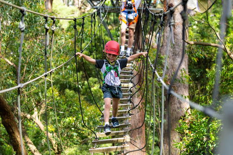Zipline At Illawarra Fly - Hotel WA 1