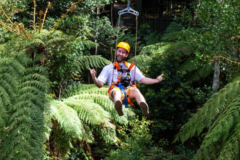 Zipline At Illawarra Fly - Hotel WA 2