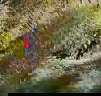 Australian Arid Lands Botanic Garden - Hotel WA