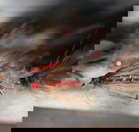 Australian Fly Fishing Museum - Hotel WA