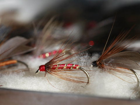 Australian Fly Fishing Museum - Hotel WA 0