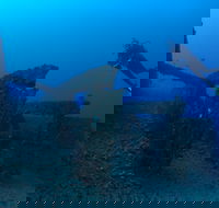 Cementco Dive Site - Hotel WA