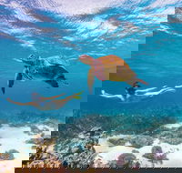 Coral Bay - Hotel WA