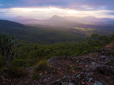 Cunninghams Gap And Spicers Gap, Main Range National Park - Hotel WA 0