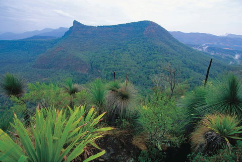 Cunninghams Gap And Spicers Gap, Main Range National Park - Hotel WA 1
