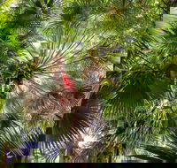 Depot Beach Rainforest Walk - Hotel WA