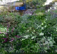 Down to Earth Permaculture - Hotel WA