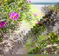 Fort Bribie - Hotel WA