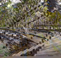 Governor Summit Corrunbral Borawah Walking Track - Hotel WA