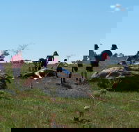 Jim Salmon  Wetland Education Site - Hotel WA