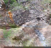 Mill-bullah Walking Track - Hotel WA