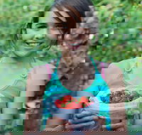 Ricardoes Tomatoes and Strawberries Farm Port Macquarie - Hotel WA