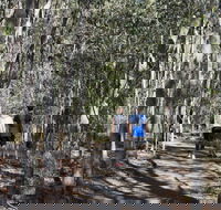 Six Mile Creek Bluff Lookout and Little White Rock Trails - Hotel WA