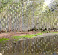 Wonga Wetlands - Hotel WA