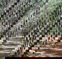 Yana-y Warruwi Walking Track - Hotel WA