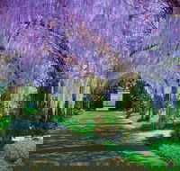 Alowyn Gardens and Nursery - Hotel WA