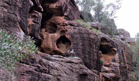 Bertha's Gully Walking Track - Hotel WA 0