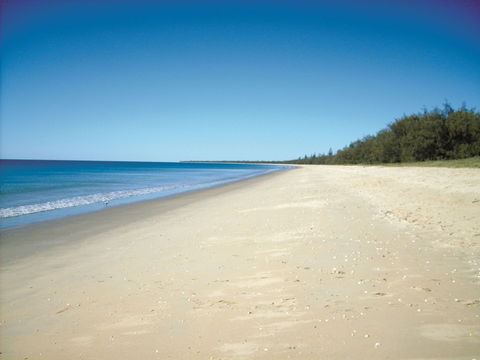 Coral Coast Pathways (Woodgate Beach Section) - Hotel WA 0
