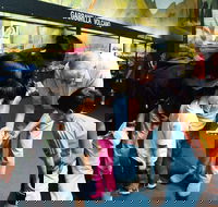 Crystal Kingdom - Hotel WA