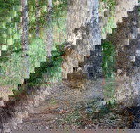 Delta Track - Hotel WA