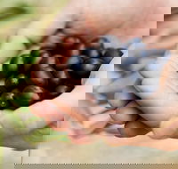 Eat Pick Grow Trail - Wanneroo and Chittering - Hotel WA