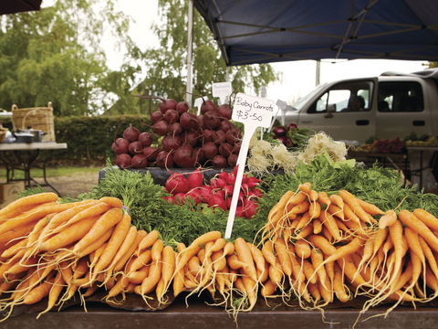 Evandale - Hotel WA 1