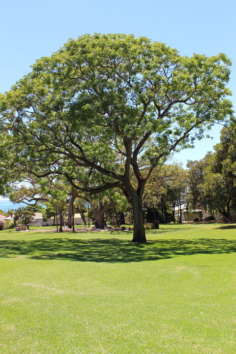 Flinders Park Playground - Hotel WA 0