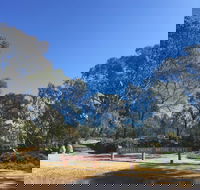 Grenfell Endemic Garden - Hotel WA