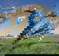 Greenough Leaning Trees