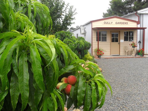 Gully Gardens - Hotel WA 0