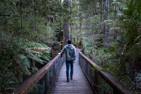 Hastings Caves And Thermal Springs - Hotel WA 1