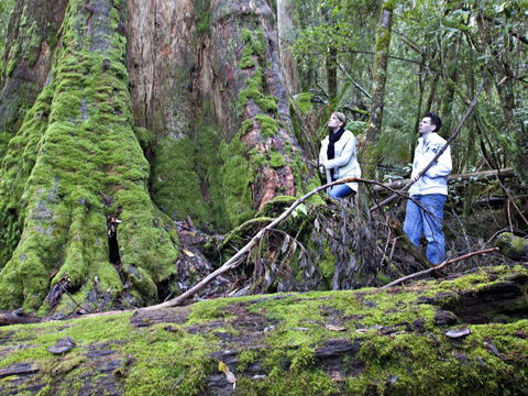 Hastings Caves And Thermal Springs - Hotel WA 2