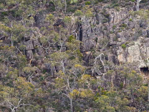 Horsnell Gully And Giles Conservation Parks - Hotel WA 0