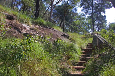 Ingleburn Reserve - Hotel WA 2