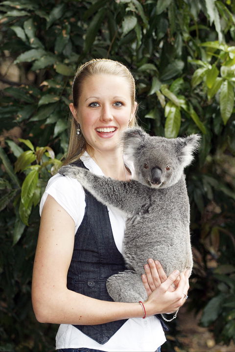 Lone Pine Koala Sanctuary - Hotel WA 1