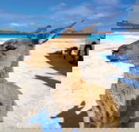 Lucky Bay - Hotel WA